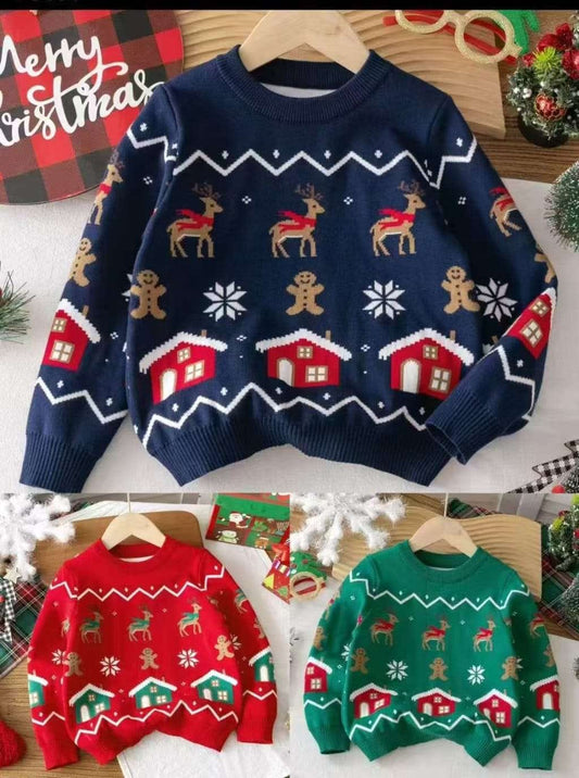 Reindeer & House Kids Christmas sweaters